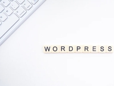 15 reasons that we use WordPress to design websites for our clients